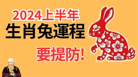 兔 2024|属兔人2024年全年运势运程详解